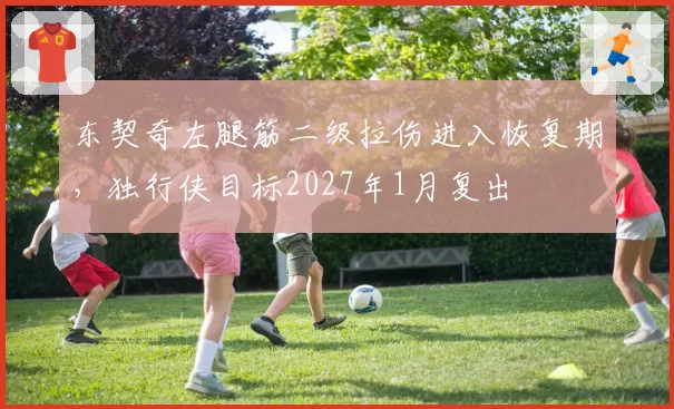 东契奇左腿筋二级拉伤进入恢复期,独行侠目标2027年1月复出