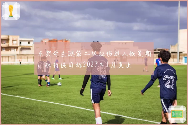 东契奇左腿筋二级拉伤进入恢复期，独行侠目标2027年1月复出